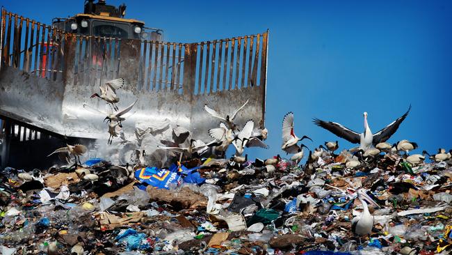 The Eastern Creek Waste Management Centre, could this be reduced with a waste to energy plant?