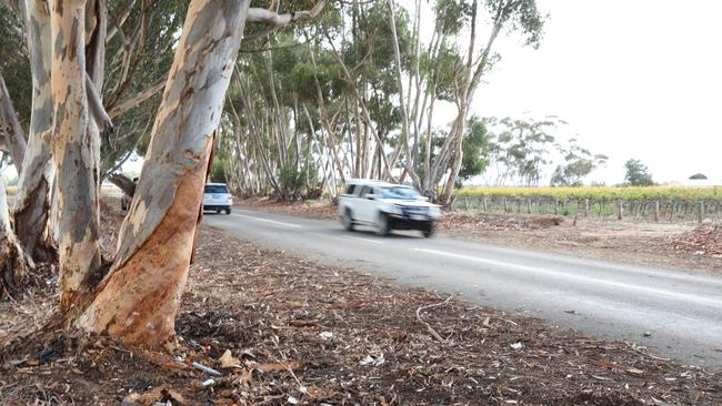 The 16-year-old Strathalbyn boy died after his car hit a tree on Lake Plains Road at Lake Plains, the impact stripping the bark from the tree. Picture: Dean Martin