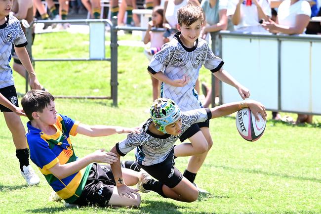 Pacific Youth Rugby Festival in Albany Creek Saturday October 19, 2024. Picture, John Gass