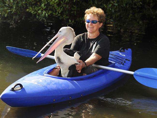 At one point Gillespie chased him around in her kayak.