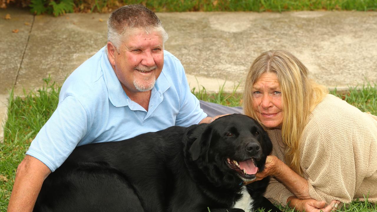 ‘Unbelievable’: Dog presumed to have drowned found alive