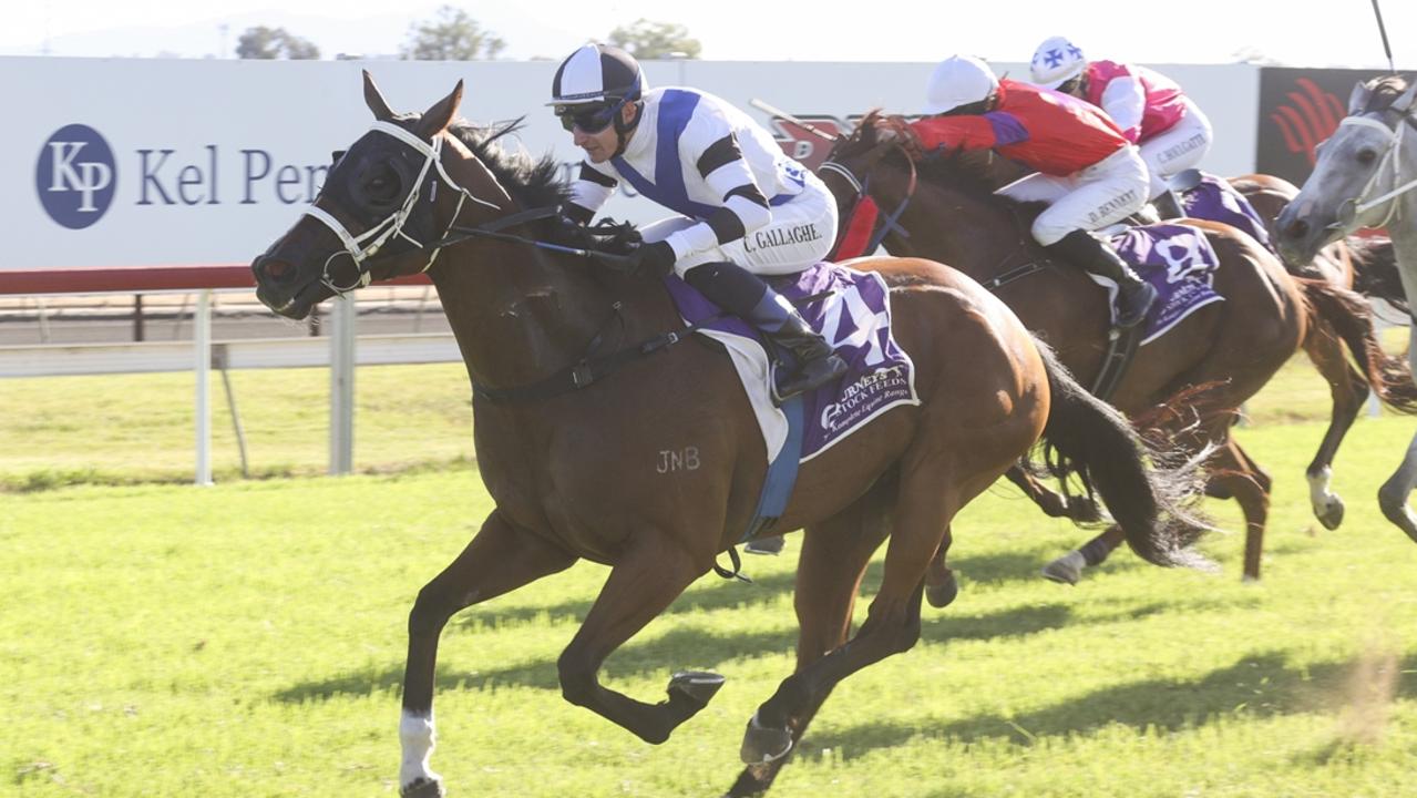 Dubbo, Moruya tips: $8 best bet is primed for a fight