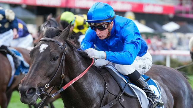 Pericles thrashed his rivals in the So You Think Stakes at The Valley last start. Picture: Scott Barbour/Racing Photos via Getty Images