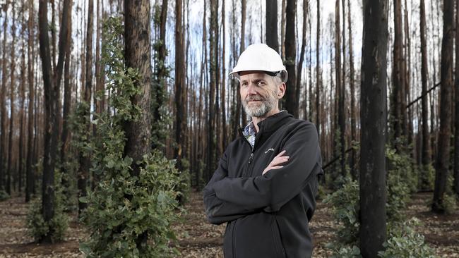 Kangaroo Island Timber Plantations’ chief executive Keith Lamb. Picture: Sarah Reed