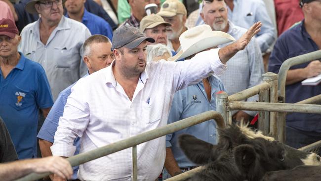 Jamie Quinlan from Elders Yea was one of the buyers at the sale. Picture: Zoe Phillips