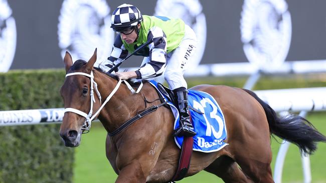 Zougotcha has won two legs of the Princess series and is looking to take out the final leg, the Group 1 Flight Stakes. Picture: Getty Images
