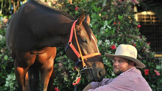 Victorian trainer Pat Johnston makes the move to Top End | NT News