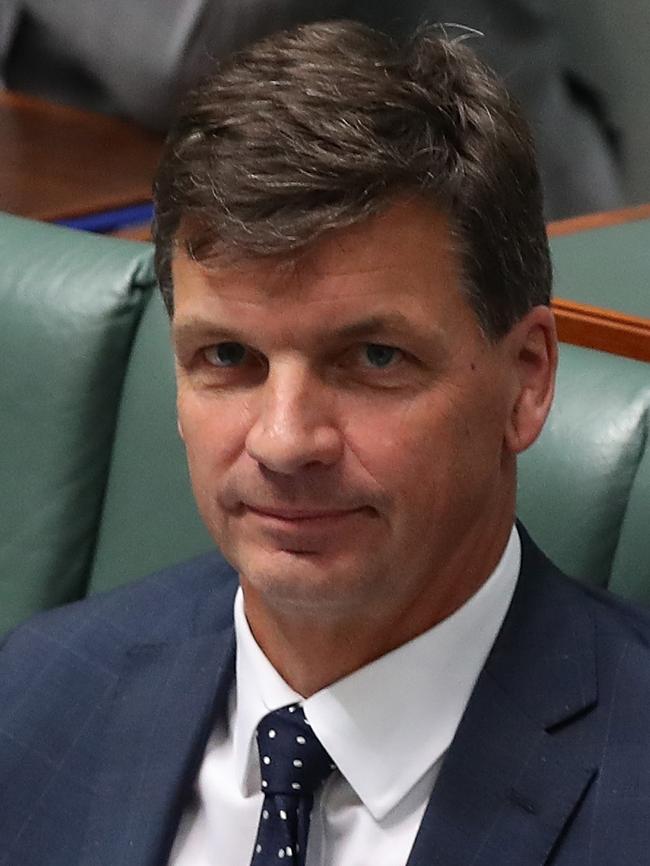 Angus Taylor has had a less-than-stellar year. Picture Kym Smith