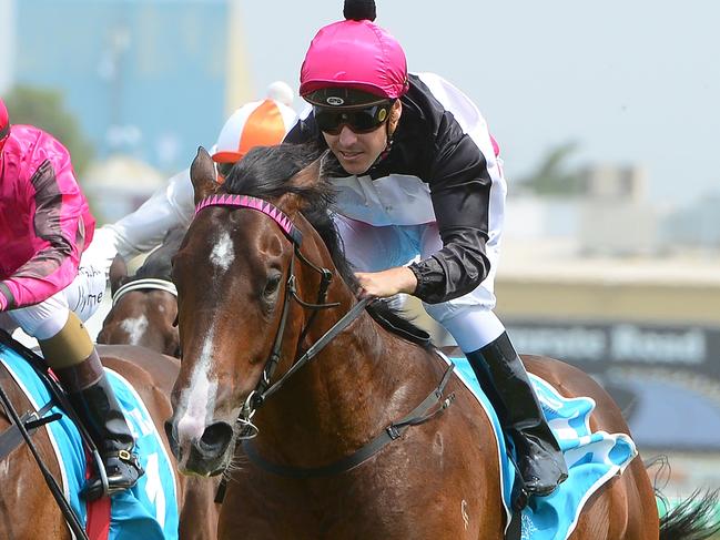 The Drinks Cart, ridden by Ryan Maloney, won the QTIS Two-Years-Old Handicap (900m) at the Gold Coast Turf Club on Wednesday, November 27, 2019. Picture credit: Grant Peters, Trackside Photography.