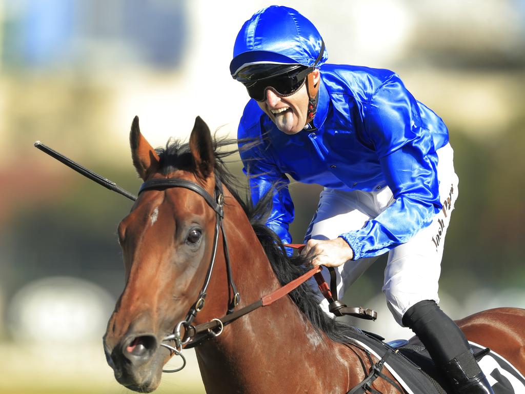 Bivouac is one of four Golden Rose chances in Ray’s Round One stable. Picture: Mark Evans/Getty Images