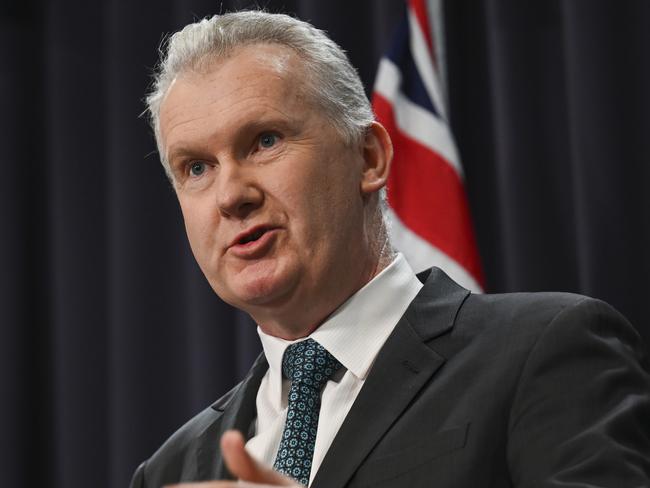 Tony Burke will become Home Affairs and Immigration Minister. Picture: NewsWire / Martin Ollman