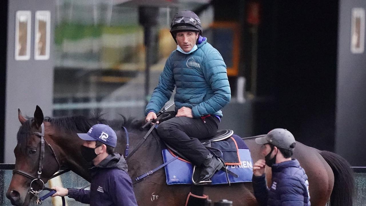 Russian Camelot (IRE) ridden by Damien Oliver during trackwork at Moonee Valley.