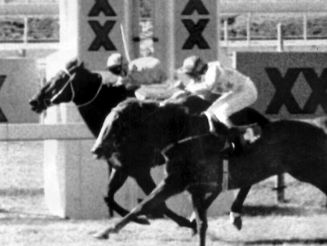 Racehorse Bold Personality (inside), racing as Fine Cotton, defeats Harbour Gold before being disqualified during race in Brisbane in 08/1984.