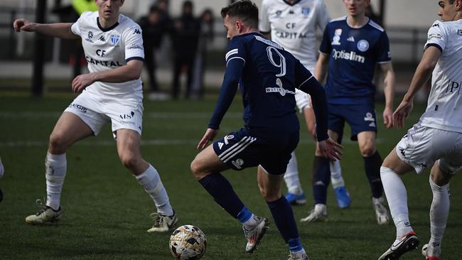 Alex Salmon in action for Oakleigh Cannons. Picture: Andrew Batsch