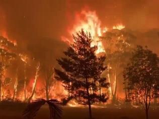 NSW RFS Captain Peter Duff shoots 16-17 meter high flames at Mt Tomah within the Blue Mountains national park Picture: NSW RFS