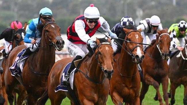 King Magnus will be out to atone for a frustrating weekend in Saturday’s Group 3 Kevin Heffernan Stakes at Caulfield. Picture: Getty Images