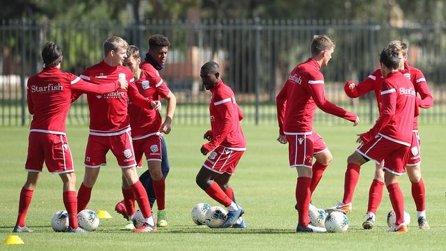 Adelaide United in training. Picture: Tait Schmaal