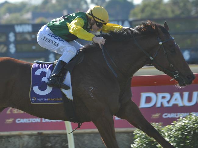 30.5.2015 Belmont Races. race 3 Virtual Trader ridden by Jordan Turner wins.