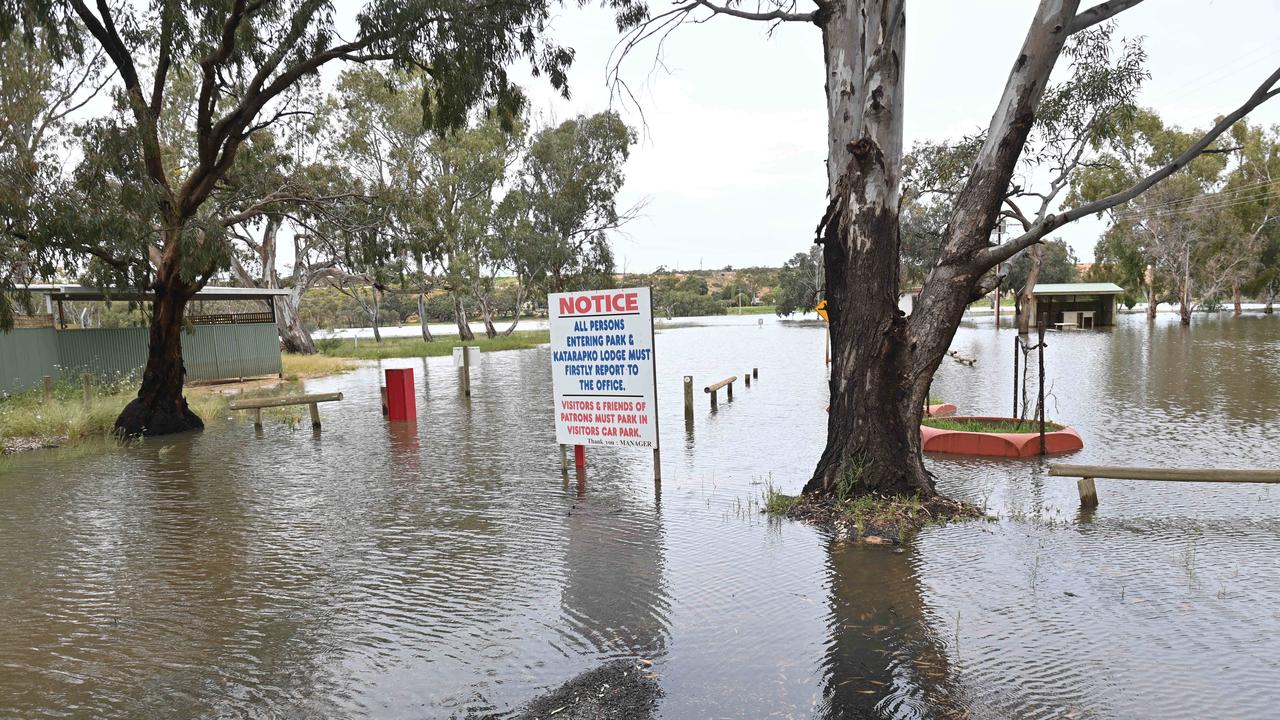 Loxton’s John Hamilton Memorial Lions Park. Picture: Keryn Stevens