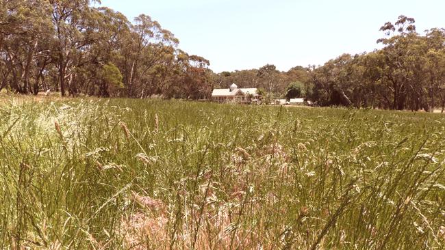 Grass remains high and unmown at the former Belair golf course, despite catastrophic fire conditions forecast on Wednesday and some recent mowing by Environment Department workers.