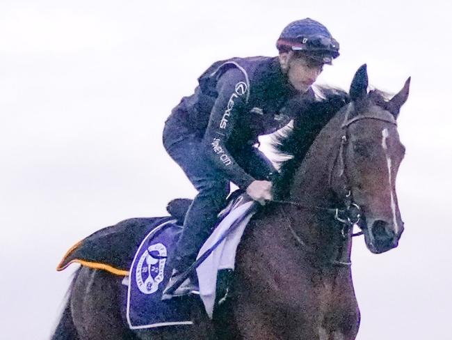 James McDonald rides internationally-trained Lexus Melbourne Cup hopeful Loft for the first time ahead of next Tuesday?s Lexus Melbourne Cup during trackwork at Flemington Racecourse on October 25, 2022 in Flemington, Australia. (Photo by Scott Barbour/Racing Photos via Getty Images)