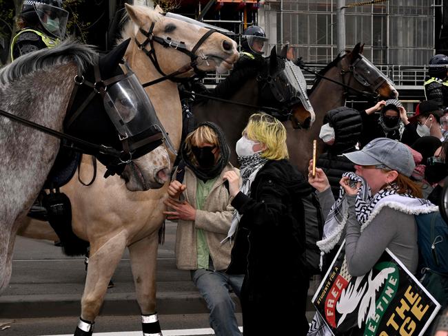 Police have accused protesters of spraying a substance into the noses of horses. Picture: William West