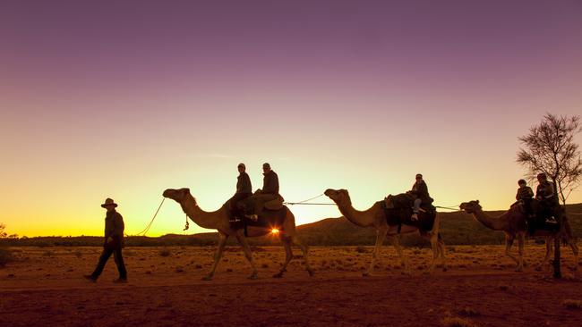 Let the original heroes of the outback carry you into the mighty West MacDonnell Ranges and give you a unique perspective on the region. Picture: Grenville Turner/Tourism NT