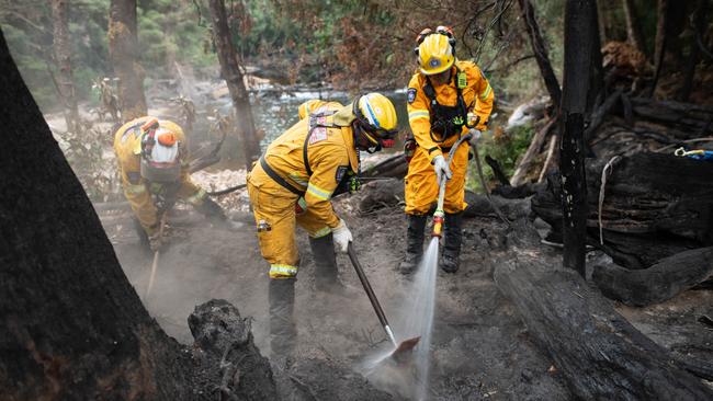 Remote area team at Yellowband Plains Fire, taken February 21, 2025. Picture: Warren Frey TFS