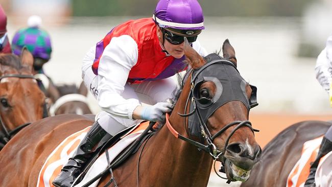 Jamie Kah rode Evening Glory to victory for a syndicate that includes tennis legend Lleyton Hewitt at Caulfield. Picture: Getty Images