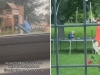 Neighbours played on our swing set without asking