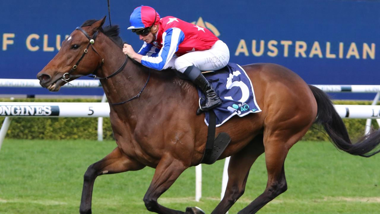 Bazooka looks a nice chance at each-way odds at Rosehill. Picture: Grant Guy