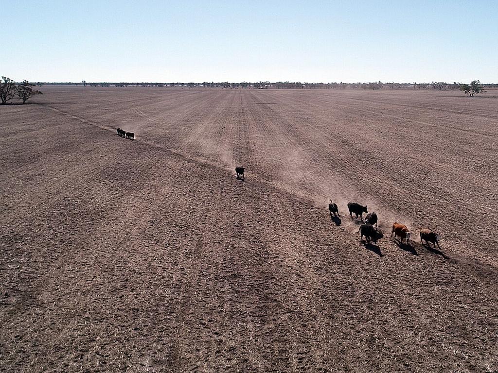 Aerial view of Keith Wood's property 100km west of Moree. Picture: Sam Ruttyn