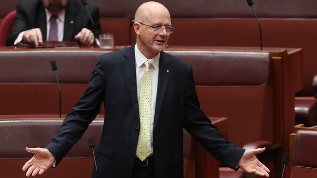 Senator David Leyonhjelm wants his wife, as well as him, to be charged over failing to register their backyard pool. Picture: Kym Smith