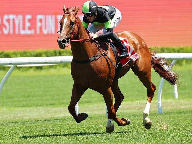 SYDNEY, AUSTRALIA - JANUARY 04: Josh Parr riding Accredited  win Race 4 Toyota Forklifts during Sydney Racing at Royal Randwick Racecourse on January 04, 2025 in Sydney, Australia. (Photo by Jeremy Ng/Getty Images)