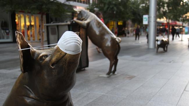 The Rundle Mall pigs stand up for clean air in Port Augusta.