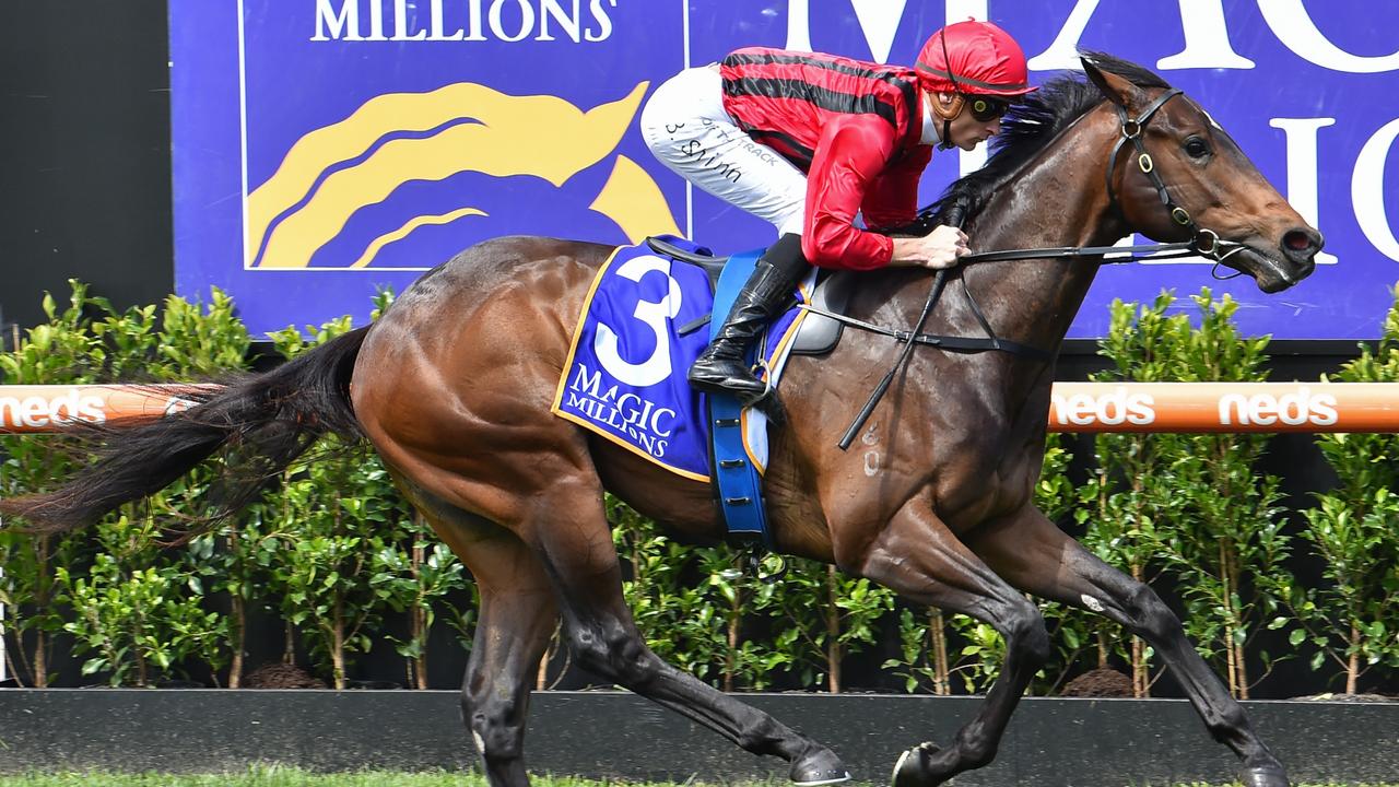 Golden Slipper favourite King's Gambit should remain unbeaten in the Canonbury Stakes. Picture: Getty Images