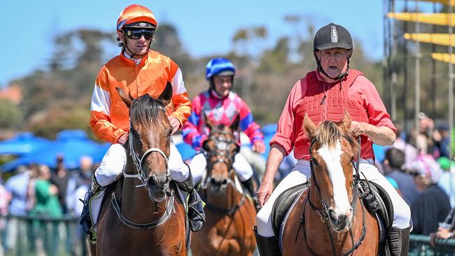 When “Savvy” isn’t doing fast work at Swan Hill racetrack under the keen eye of his trainer, Kelly’s cousin Austy Coffey. Picture: Getty Images.