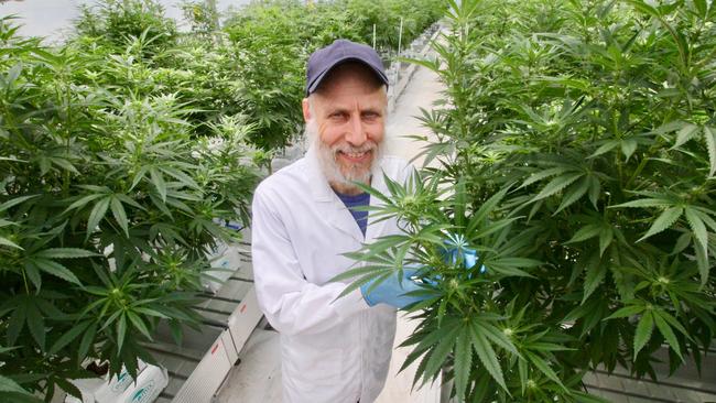 Cannatrek chief executive Tommy Huppert at the Brisbane prototype farm.