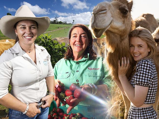 Queensland's farming Queens