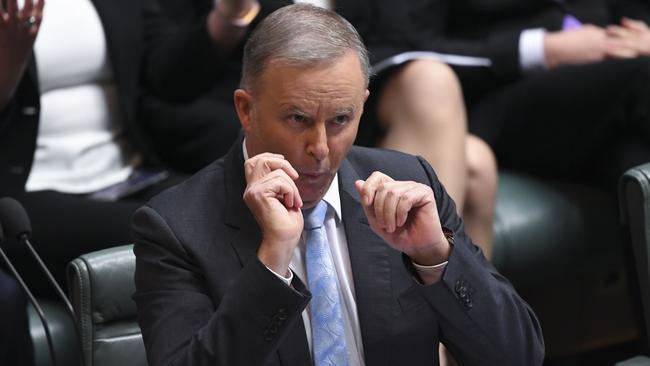 Opposition Leader Anthony Albanese is clearly enjoying Question Time. Picture: AAP