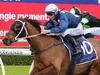 Ray and Duff: No compromising for Waller’s stayer