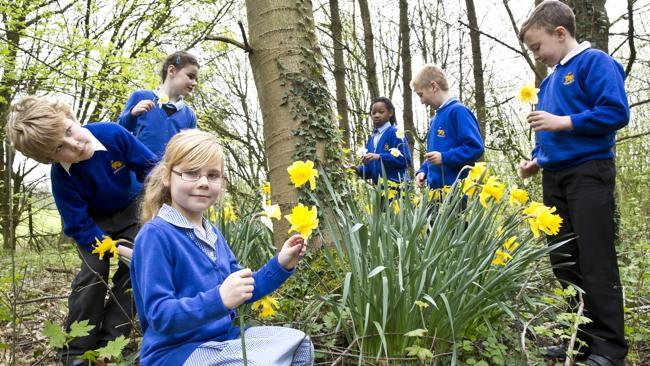 Floral tribute ... children from Harefield Junior School gather flowers in honour of the 