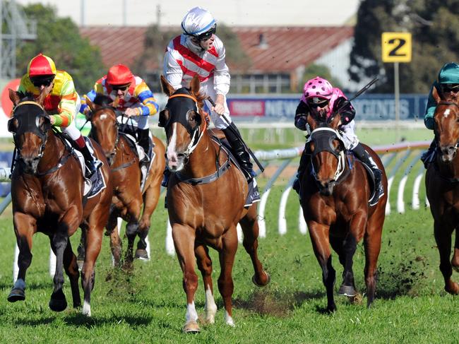 Photographer: Simon Bullard. Race 5 - 2:20PM SMITHFIELD RSL CLUB SAN DOMENICO STAKES (1100 METRES). Winner 'Star Turn' ridden by Tommy Berry. Trained by John Hawkes.