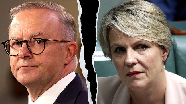 Where’s Tanya? Why Albo has benched popular Plibersek