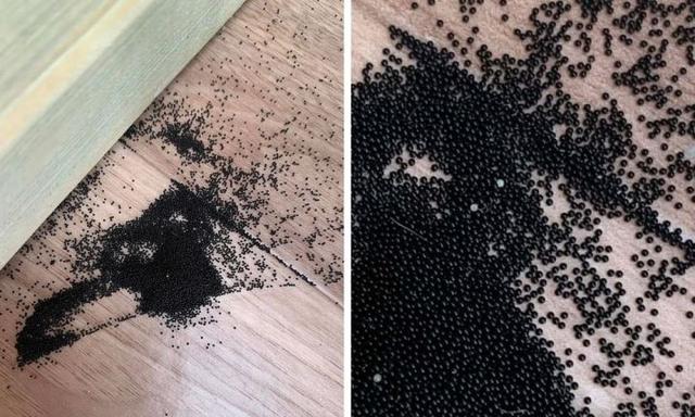 Mum discovers thousands of creepy black balls in kids cubby house