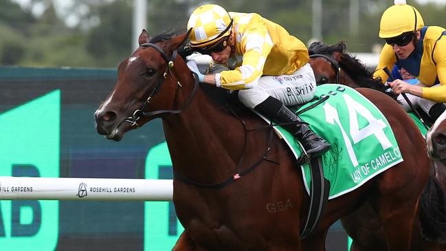 SYDNEY, AUSTRALIA - MARCH 23: Blake Shinn riding  Lady Of Camelot wins Race 8 Golden Slipper during the Golden Slipper Day - Sydney Racing at Rosehill Gardens on March 23, 2024 in Sydney, Australia. (Photo by Jeremy Ng/Getty Images)