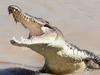 ‘Significant injuries’: Man attacked by croc near Adelaide River
