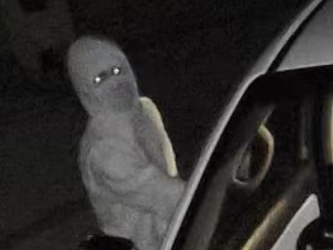CCTV grabs from Dubbo Crime Reports Facebook page. Photo: Facebook