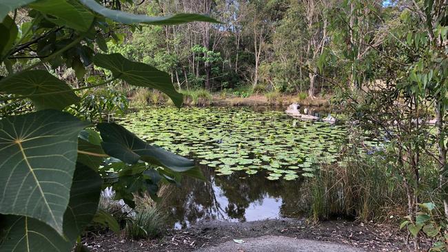 See the egret? Picture: Amanda Robbemond