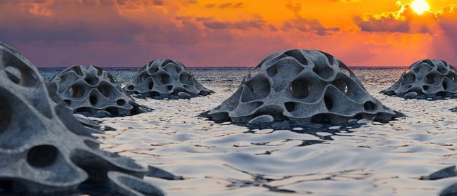 An example of an array of reef units in low tide. Picture: supplied.